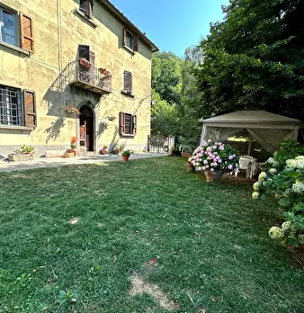 Foto annuncio 24