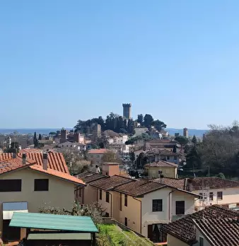 Foto annuncio 45