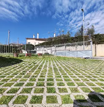 Foto annuncio 44