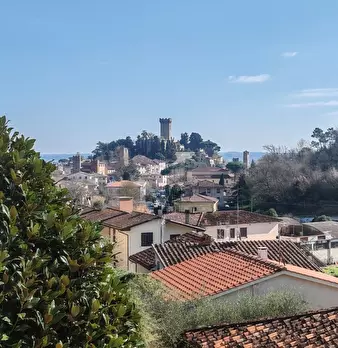 Foto annuncio 9