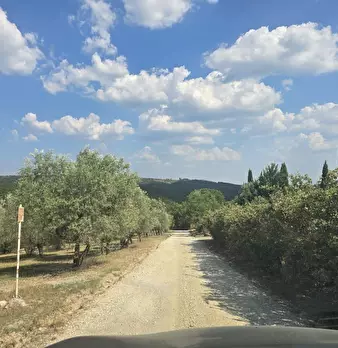 Foto annuncio 3