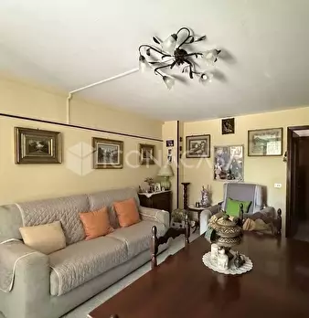 Foto annuncio 28