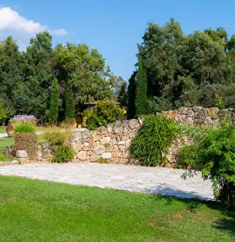 Foto annuncio 83