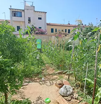 Foto annuncio 2