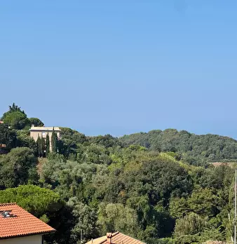 Foto annuncio 50