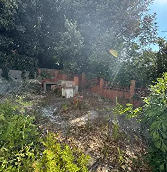 Foto annuncio 44