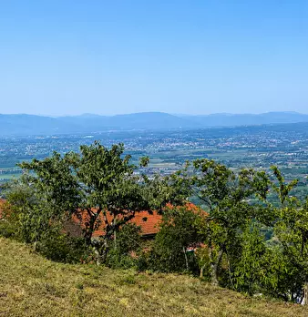 Foto annuncio 3