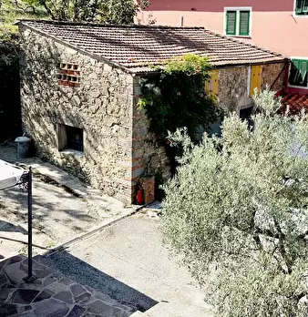Foto annuncio 21