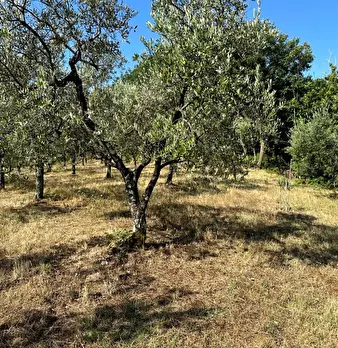 Foto annuncio 27