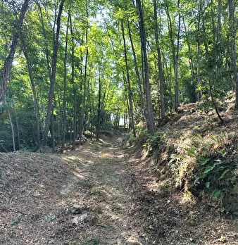 Foto annuncio 30
