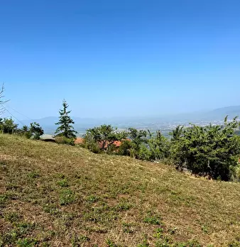 Foto annuncio 26
