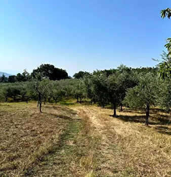 Foto annuncio 28