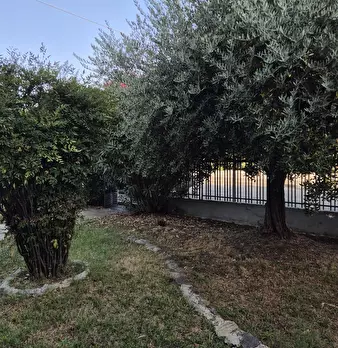 Foto annuncio 2