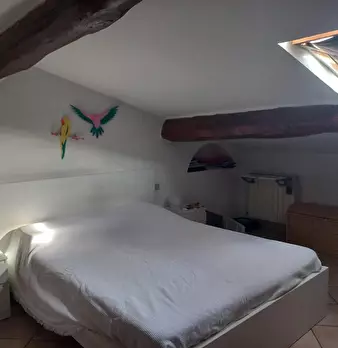 Foto annuncio 6