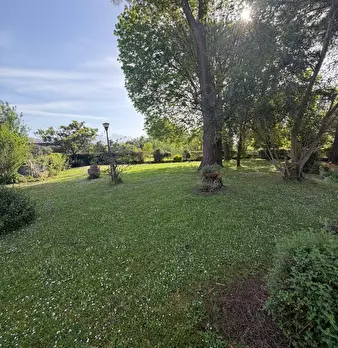 Foto annuncio 11