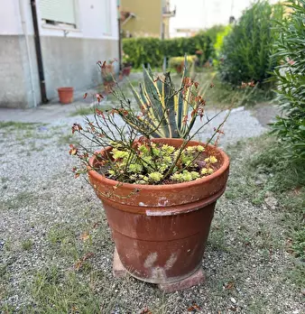 Foto annuncio 26