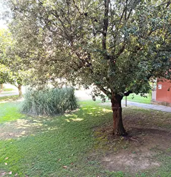 Foto annuncio 23