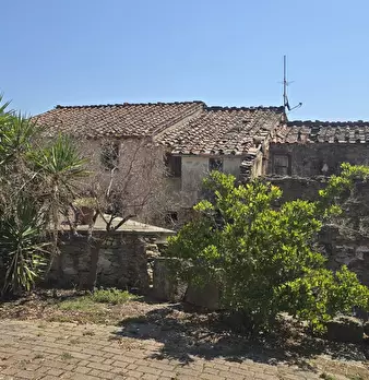 Foto annuncio 27
