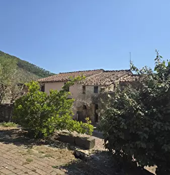 Foto annuncio 16