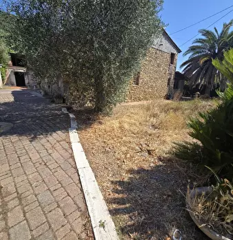 Foto annuncio 17
