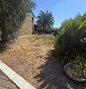 Foto annuncio 7