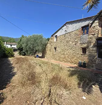 Foto annuncio 36