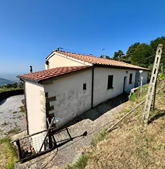 Foto annuncio 43