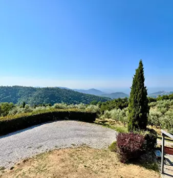 Foto annuncio 22
