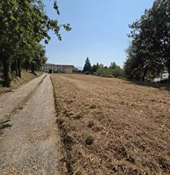 Foto annuncio 4