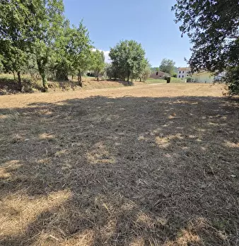 Foto annuncio 2