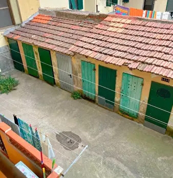 Foto annuncio 11