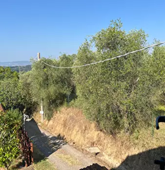 Foto annuncio 10