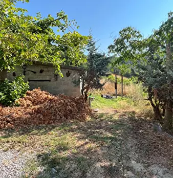 Foto annuncio 3