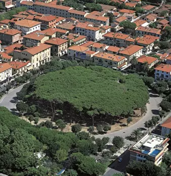 Foto annuncio 10