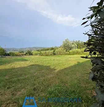Foto annuncio 23
