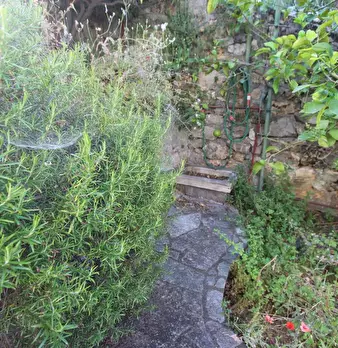 Foto annuncio 9