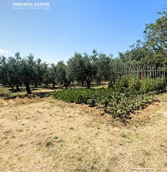 Foto annuncio 9
