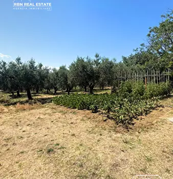 Foto annuncio 10