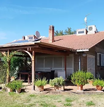 Foto annuncio 8