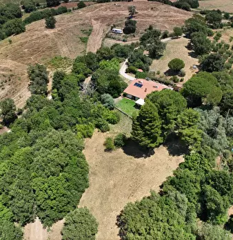 Foto annuncio 2