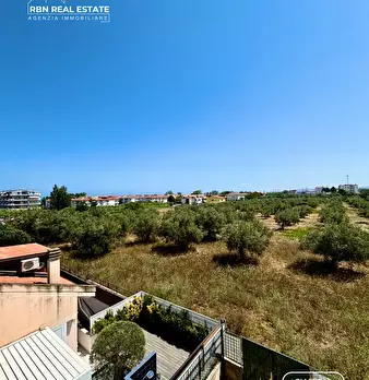 Foto annuncio 13