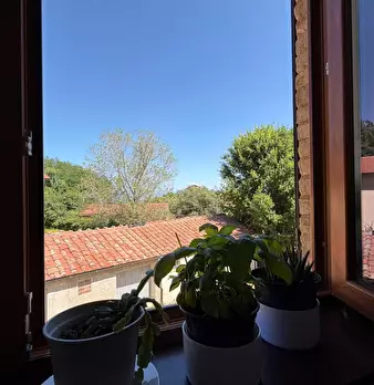 Foto annuncio 12