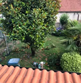 Foto annuncio 13