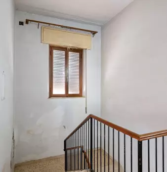 Foto annuncio 12