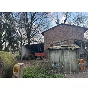 Foto annuncio 7