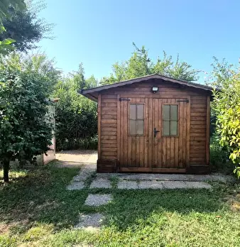 Foto annuncio 5