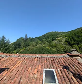 Foto annuncio 35