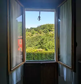 Foto annuncio 34