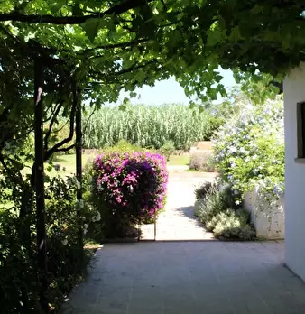 Foto annuncio 20