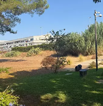 Foto annuncio 74